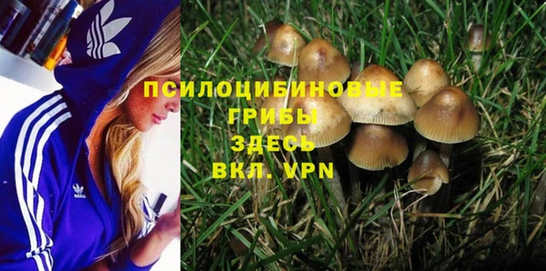 твердый Беломорск