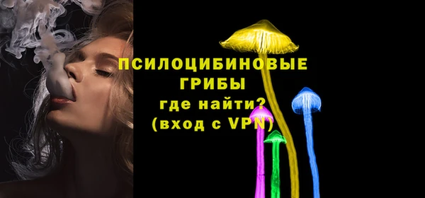 a pvp Белокуриха