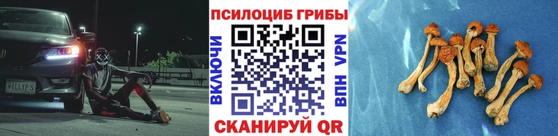 Купить где  Гаврилов Посад  Псилоцибиновые грибы Magic Shrooms 